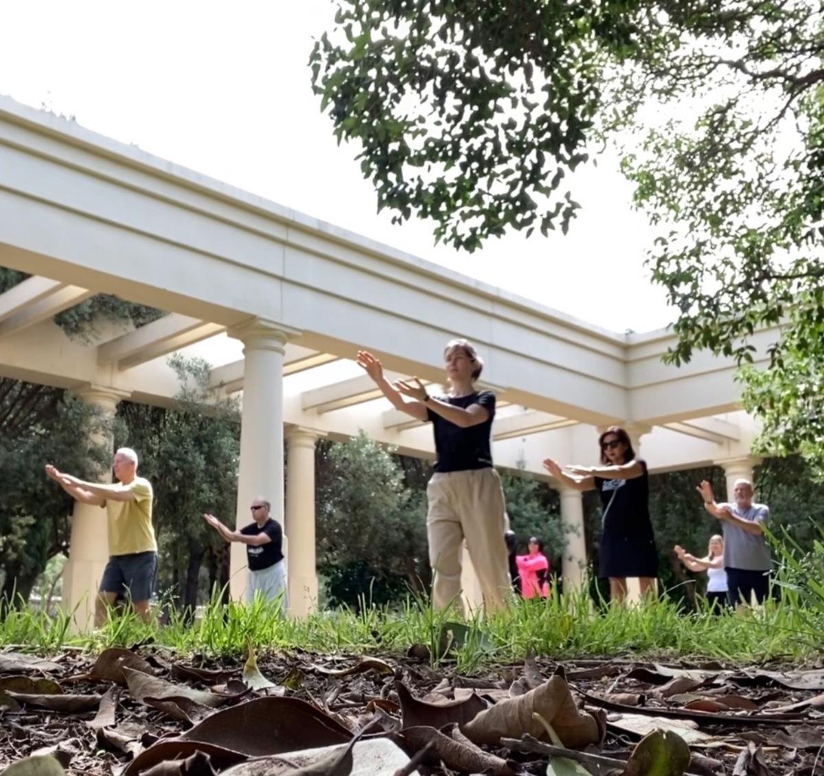 Tai Chi. Meditation in motion