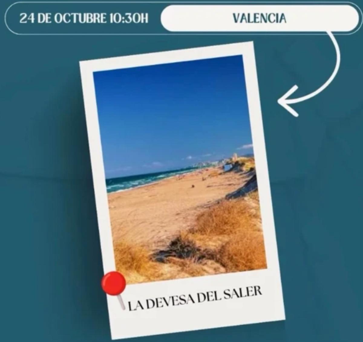 Limpieza Selectiva en El Saler - 24/10/26