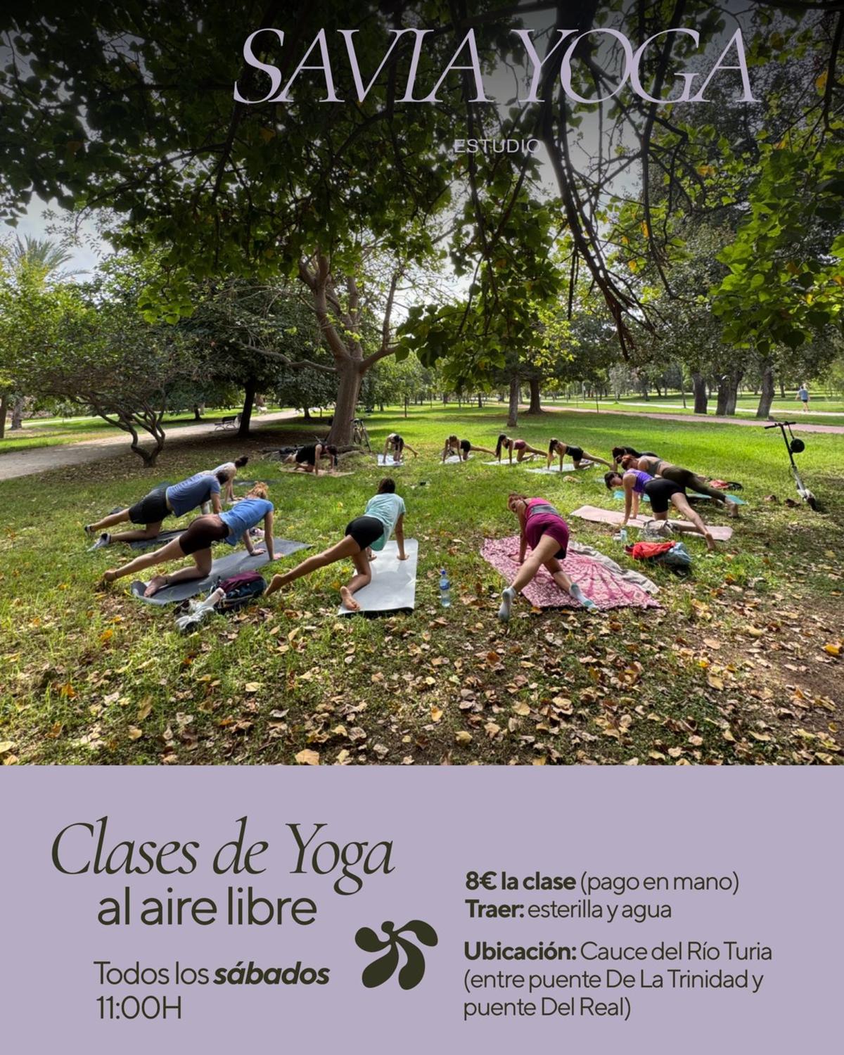Clases de yoga en el Rio 🌿