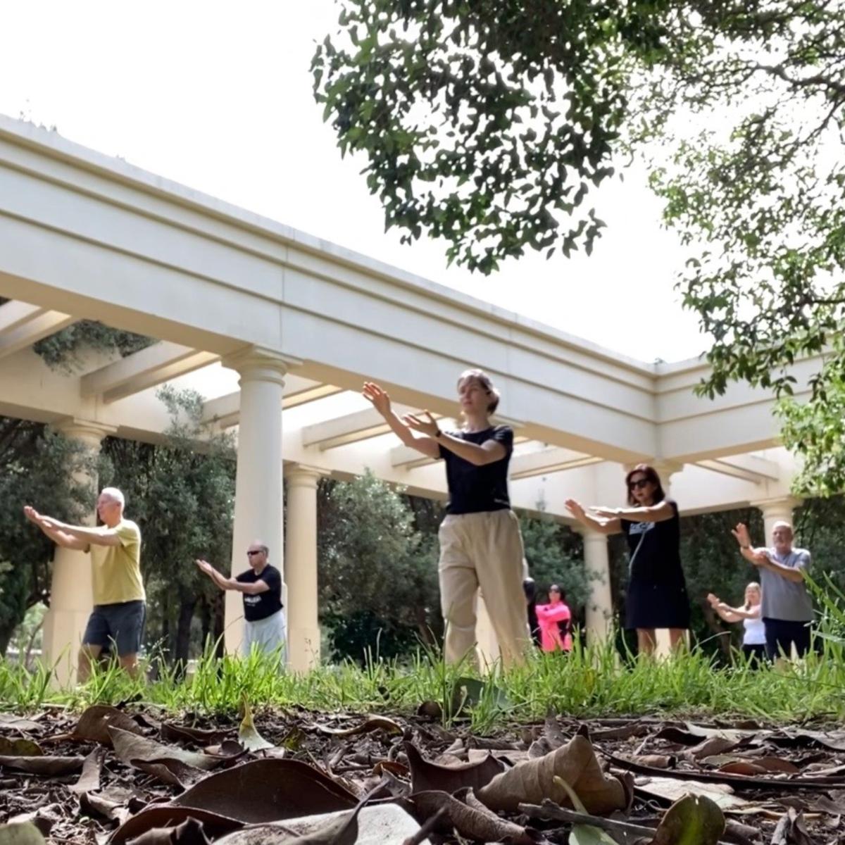 Tai Chi. Meditation in motion