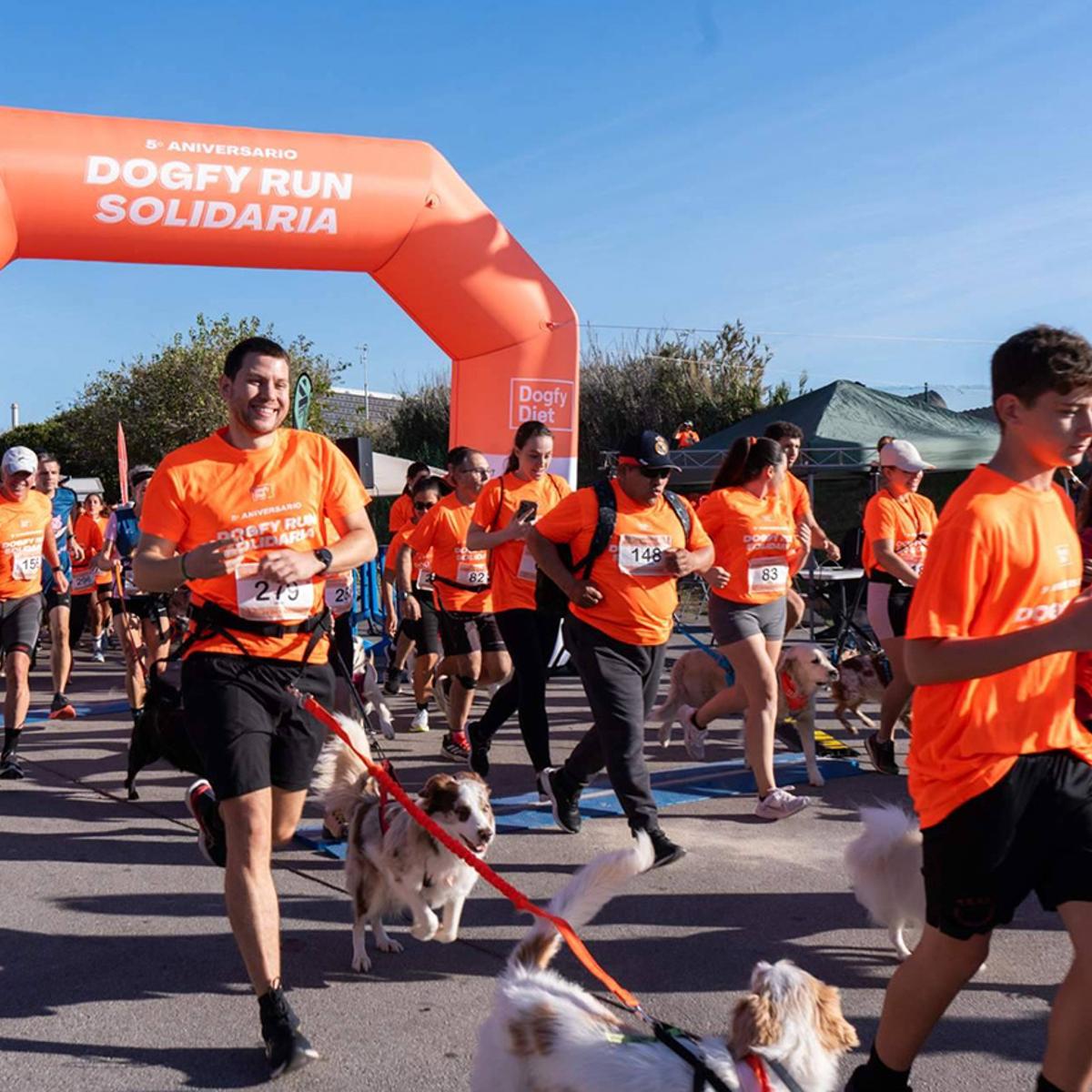 Dogfy Run Valencia