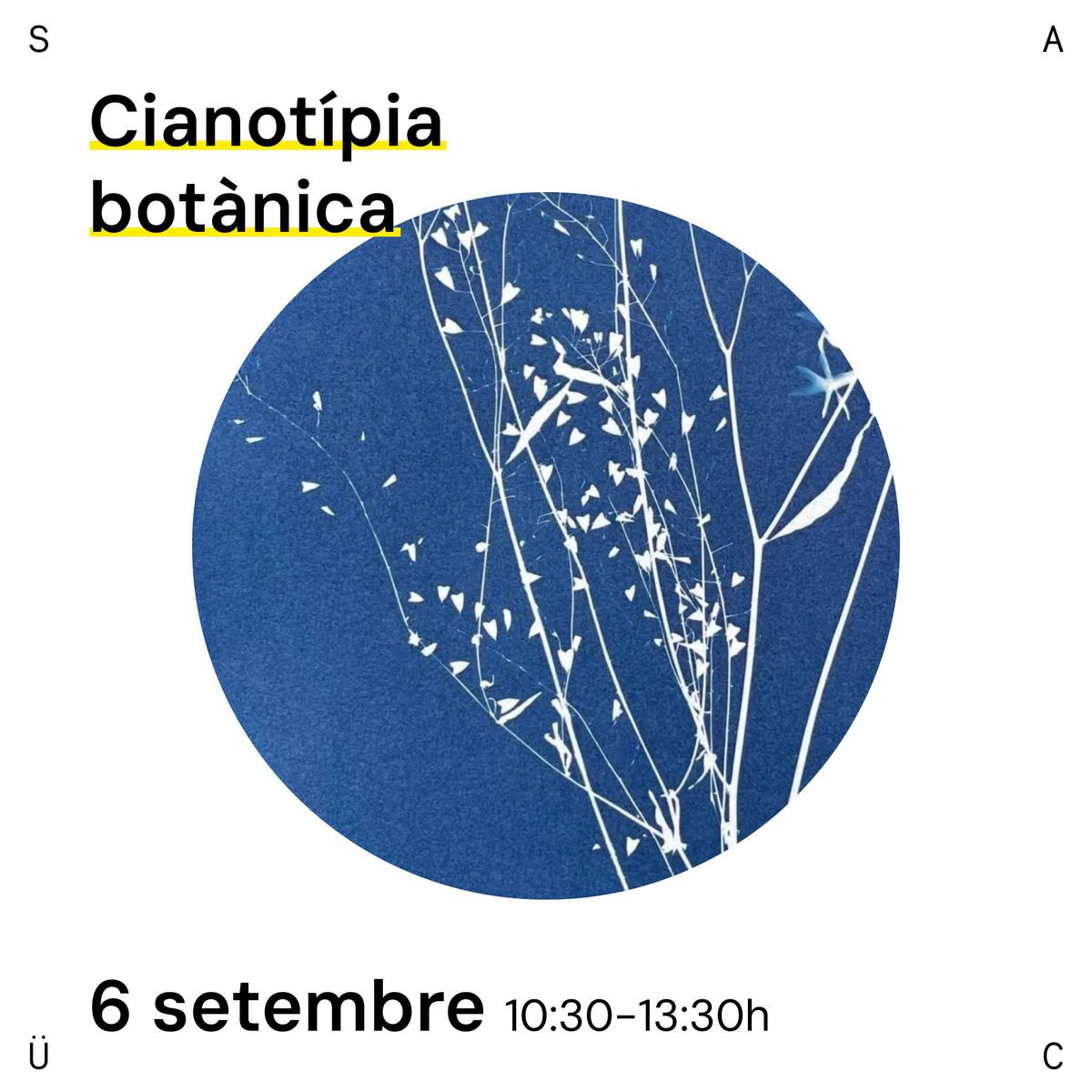 Cianotípia Botànica