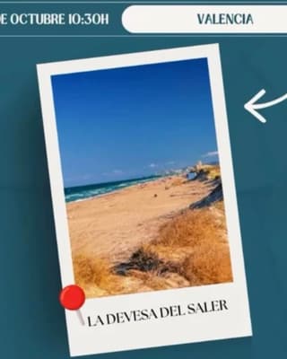 Limpieza Selectiva en El Saler - 24/10/26