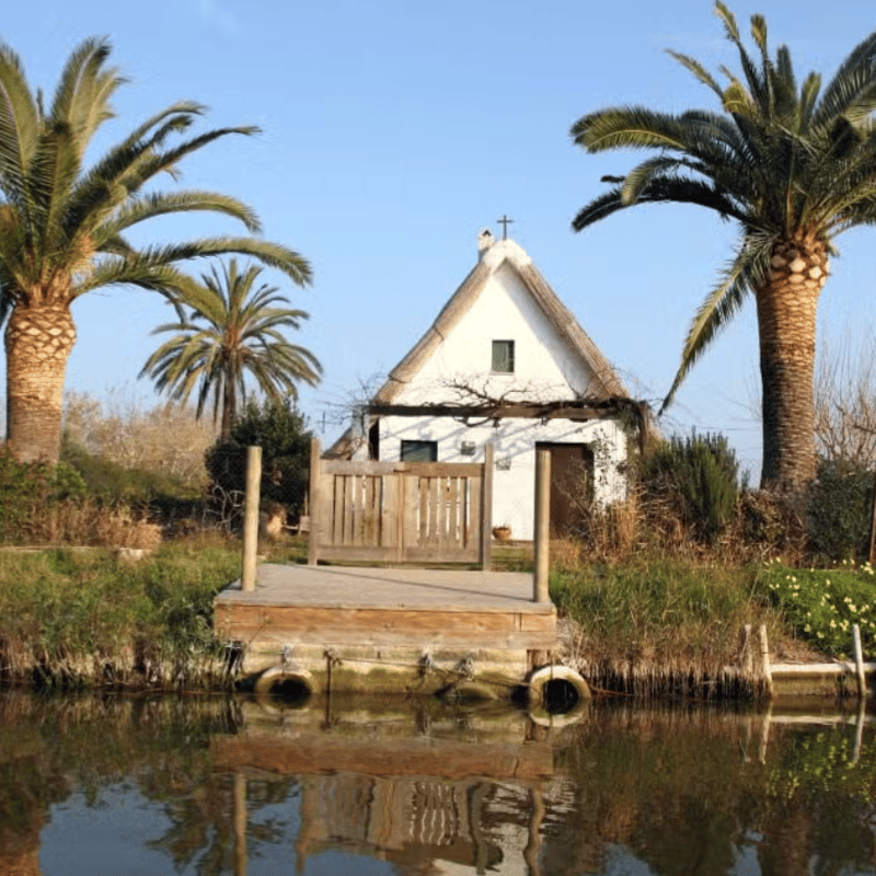 Field Trip to La Albufera photo 1