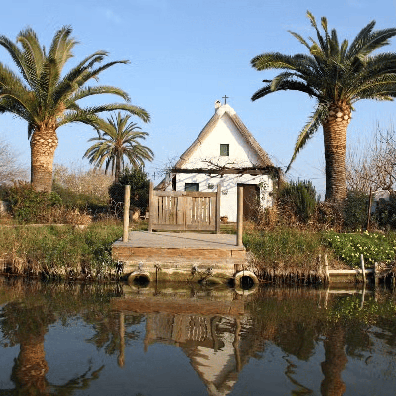 Excursión a la Albufera photo 3