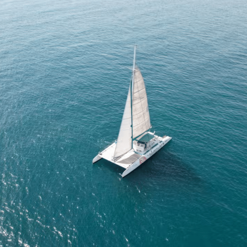 Sunset Catamaran Cruise photo 3