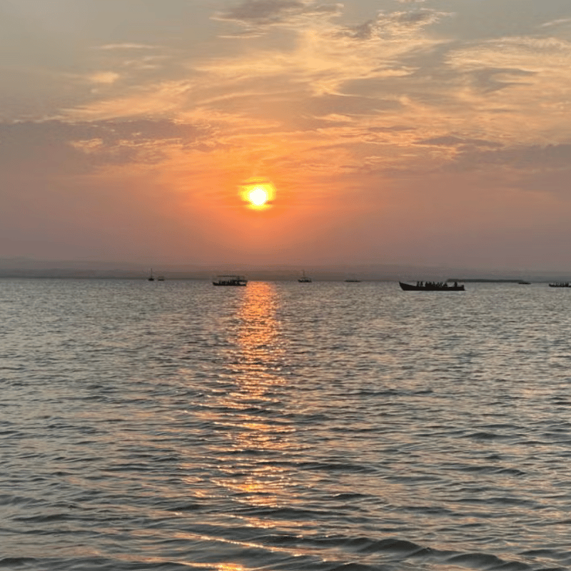 Field Trip to La Albufera photo 3