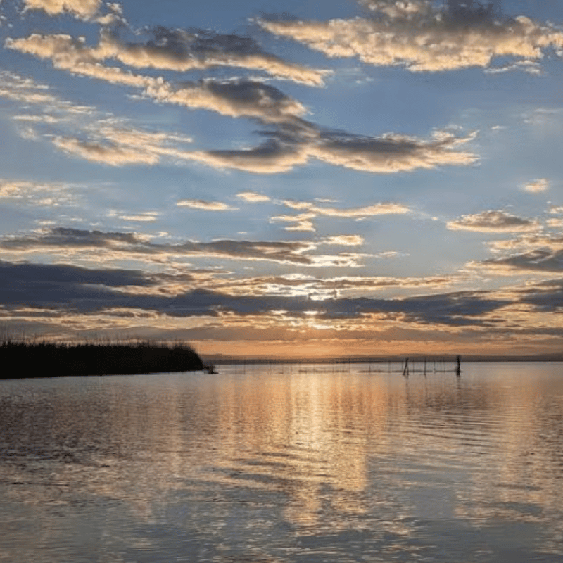 Field Trip to La Albufera photo 2