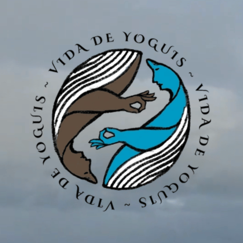 Vida de Yoguis