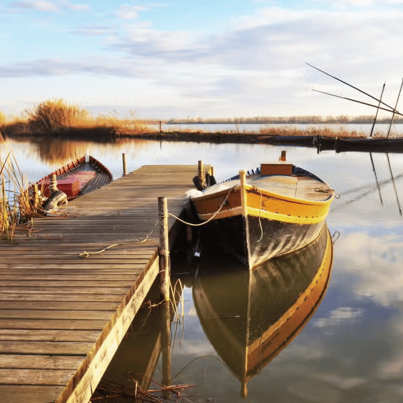 Excursión a la Albufera photo 2