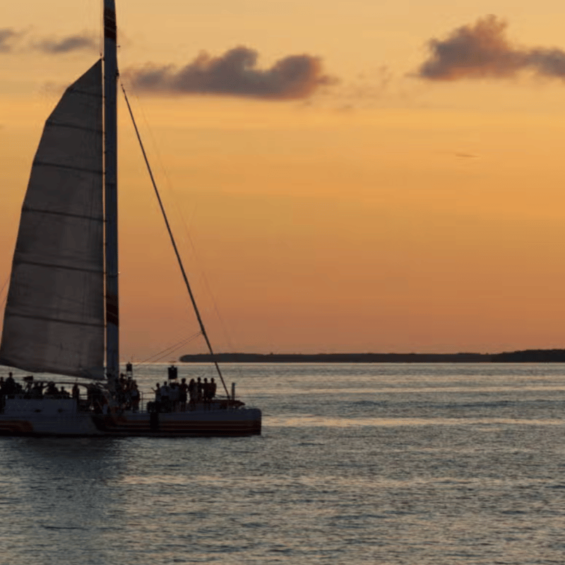 Sunset Catamaran Cruise photo 2