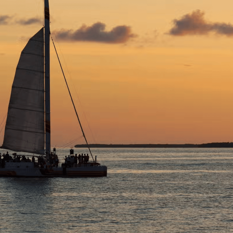 Paseo en Catamarán al Atardecer photo 3